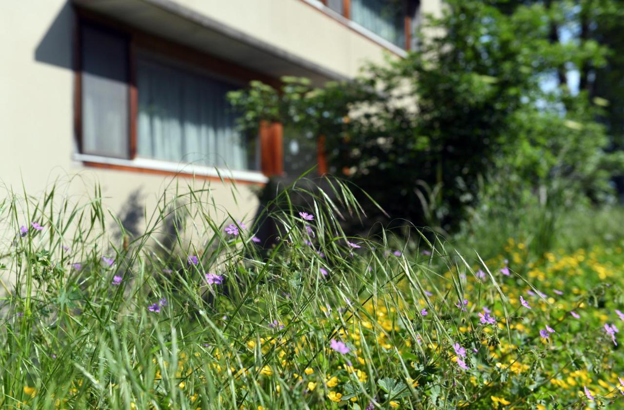 Hotel Domaine De La Sauge Cudrefin Kültér fotó