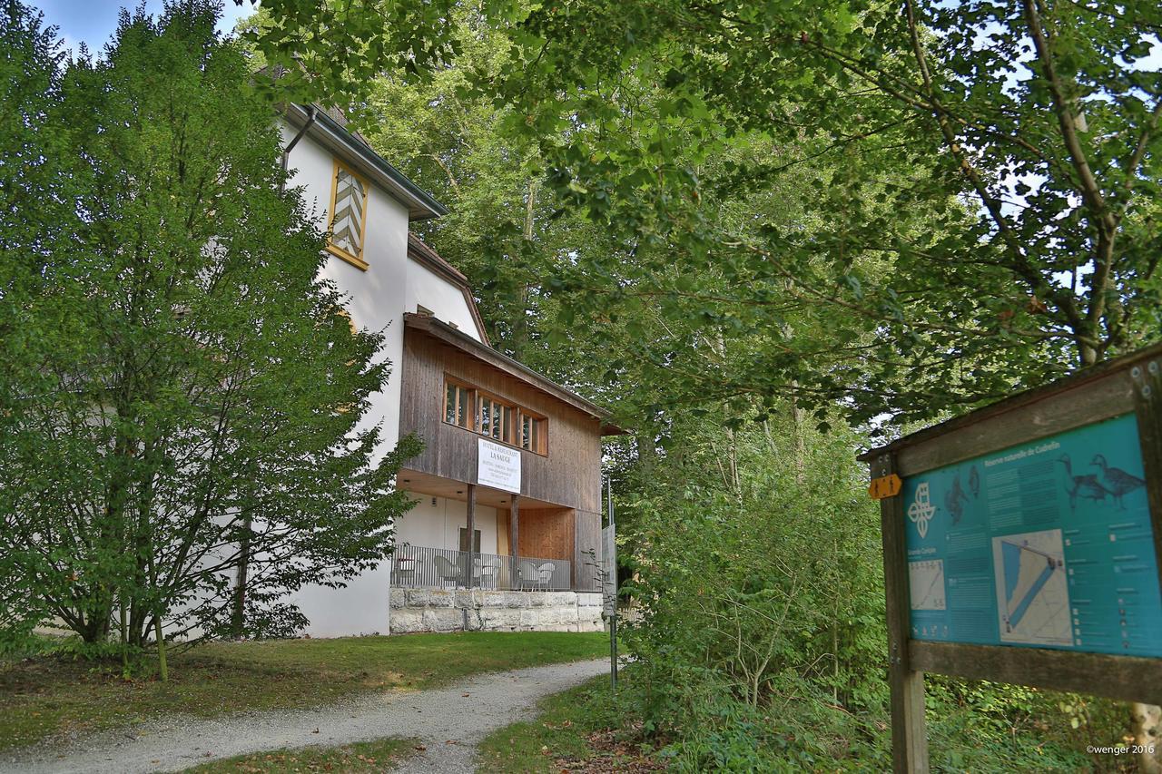 Hotel Domaine De La Sauge Cudrefin Kültér fotó